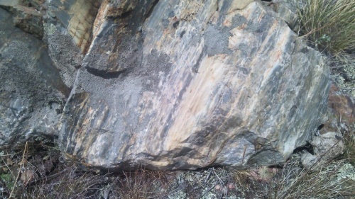 Гигантские зелёные валуны для ландшафтного дизайна весом более 5 тонн купить в Липецке