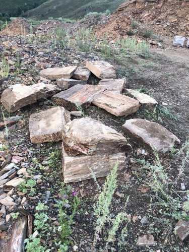 Плитняк кора дерева 50-100мм для пошаговых дорожек купить в Липецке